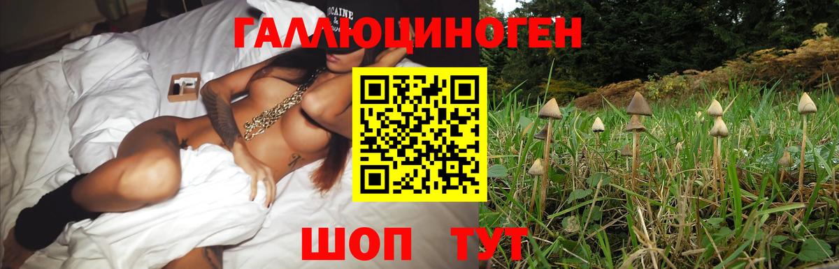 Псилоцибиновые грибы ЛСД  Псилоцибиновые грибы GOLDEN TEACHER  Клинцы  где можно купить наркотик  Вход с VPN 