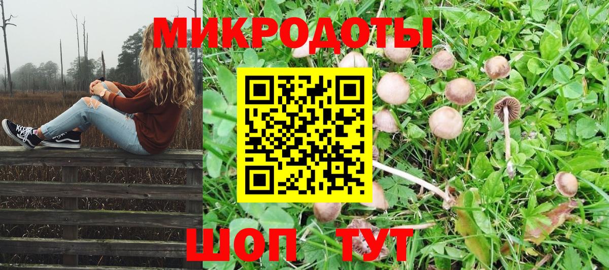 Псилоцибиновые грибы мицелий Клинцы